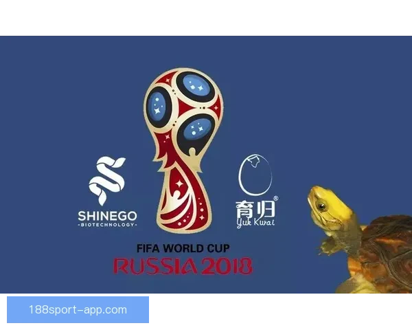 围绕世界杯竞猜投注规则全面解析玩法策略与风险提示指南实用参考