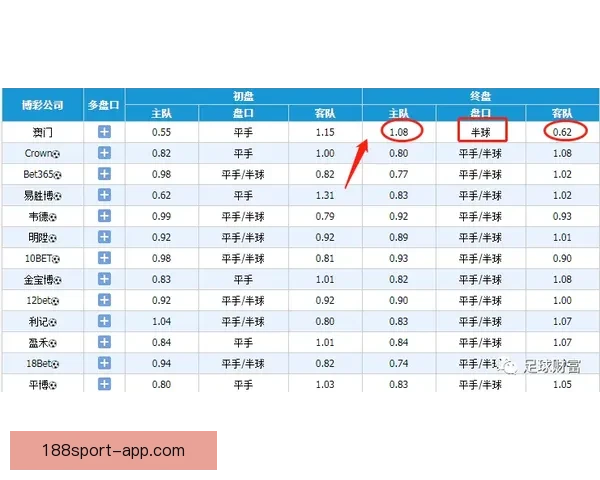 世界杯买球预测技巧解析助你轻松赚取下注回报的实用指南